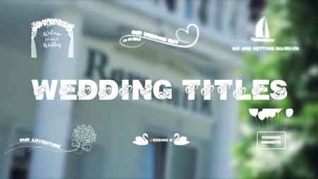 Pond5 - Wedding Titles 079533244