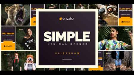 Simple Opener 20449531 After Effects Template