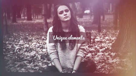 Vintage Album 22588613 After Effects Template