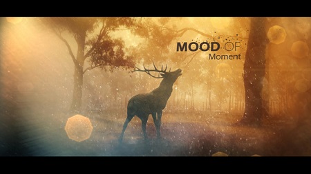 Videohive Mood Of Moments Parallax Opener 20672854 After Effects Template