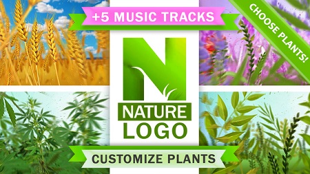 Videohive Nature Eco Plants Logo 22046864 After Effects Template