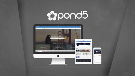Pond5 Shape Logo 085095055 After Effects Template
