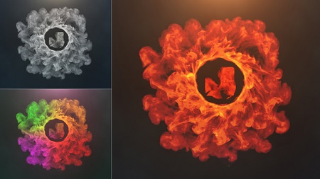 Portal Logo Reveal 22311472 After Effects Template Download Videohive