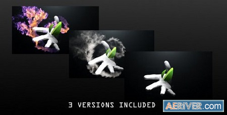 Videohive Hand Reveal 4020969 After Effects Project