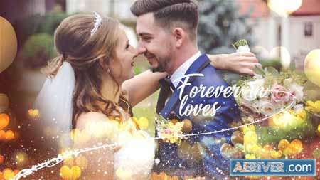 After Effect Wedding Template Free from aeriver.com