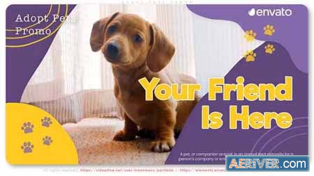 Videohive Adopt Pets Promo 38239208 Free