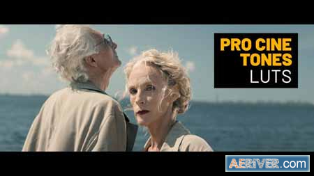 Videohive Pro Cine Tones and Standard LUTs 43740837